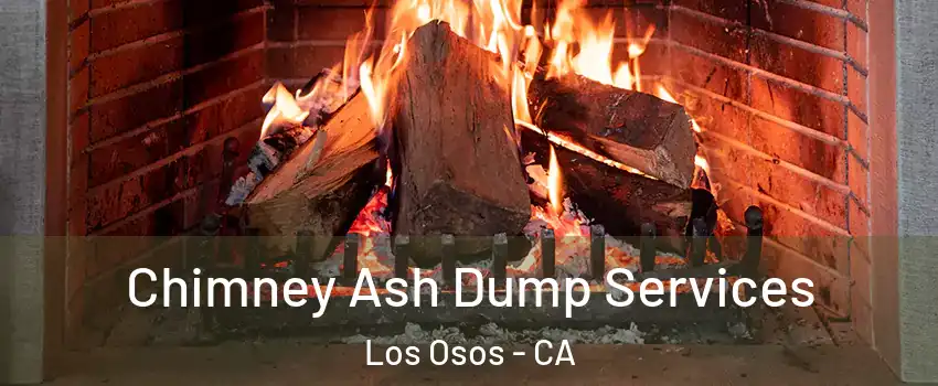  Chimney Ash Dump Services Los Osos - CA