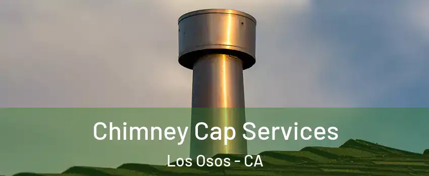  Chimney Cap Services Los Osos - CA