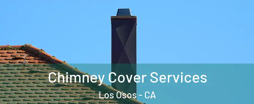  Chimney Cover Services Los Osos - CA