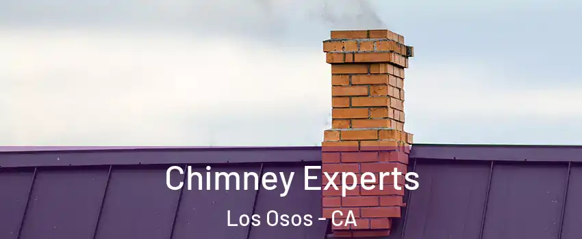  Chimney Experts Los Osos - CA