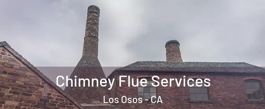  Chimney Flue Services Los Osos - CA