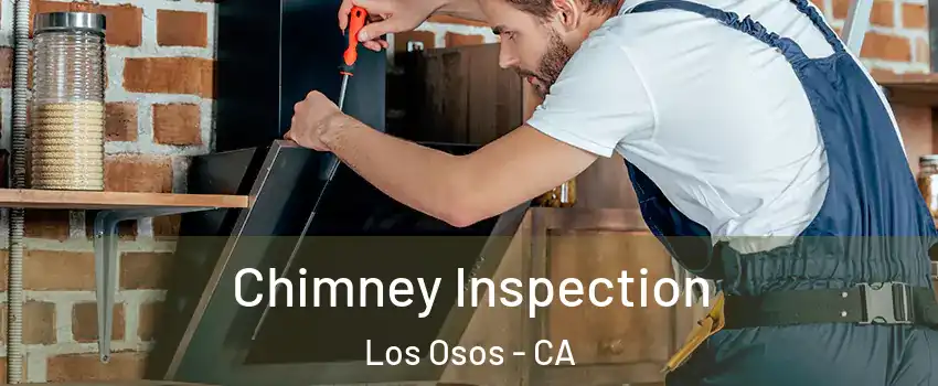  Chimney Inspection Los Osos - CA