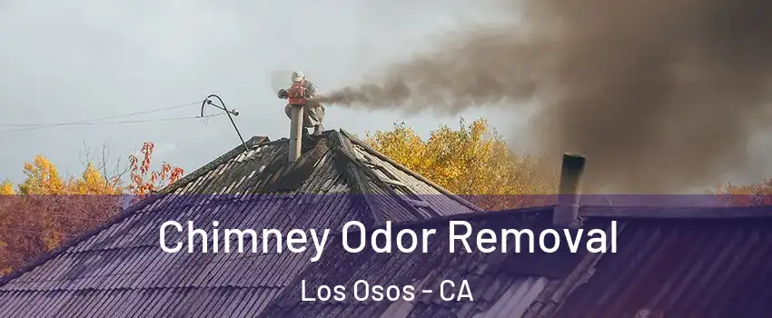  Chimney Odor Removal Los Osos - CA