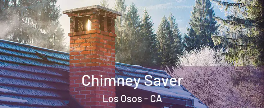  Chimney Saver Los Osos - CA