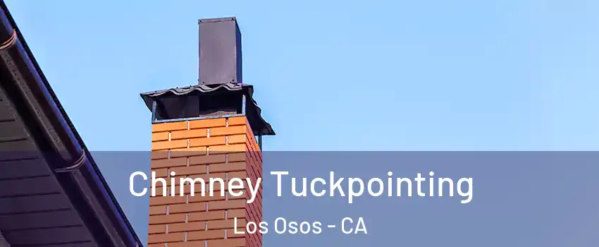  Chimney Tuckpointing Los Osos - CA