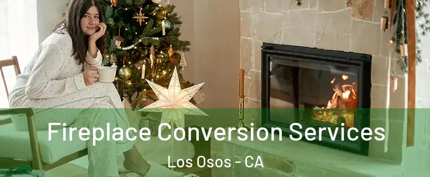  Fireplace Conversion Services Los Osos - CA