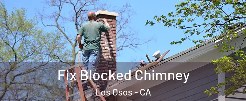  Fix Blocked Chimney Los Osos - CA