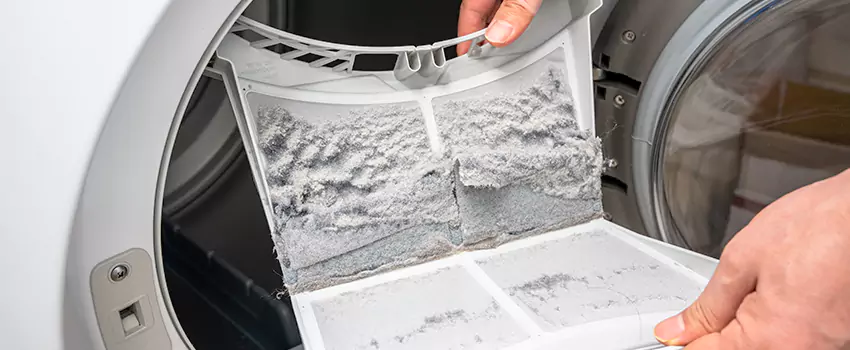 Best Dryer Lint Removal Company in Los Osos, California