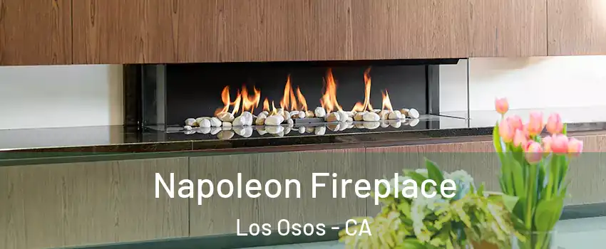 Napoleon Fireplace Los Osos - CA